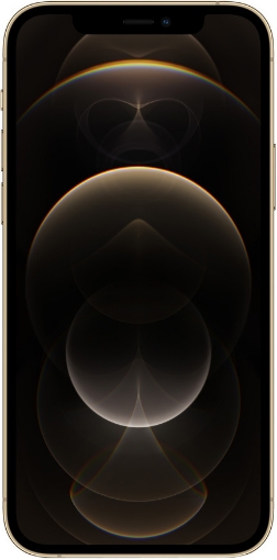 Picture of טלפון סלולרי אפל אייפון 12 פרו מקס זהב מתצוגה Apple iPhone 12 pro max Gold 128GB